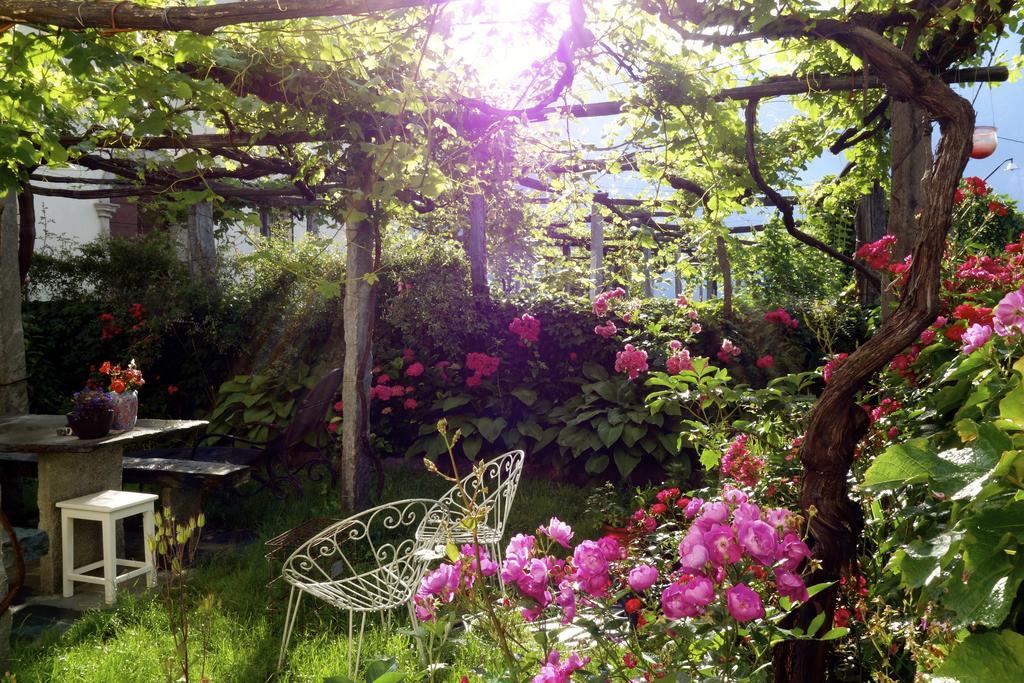 Bed & Breakfast Uvablu Trontano ภายนอก รูปภาพ