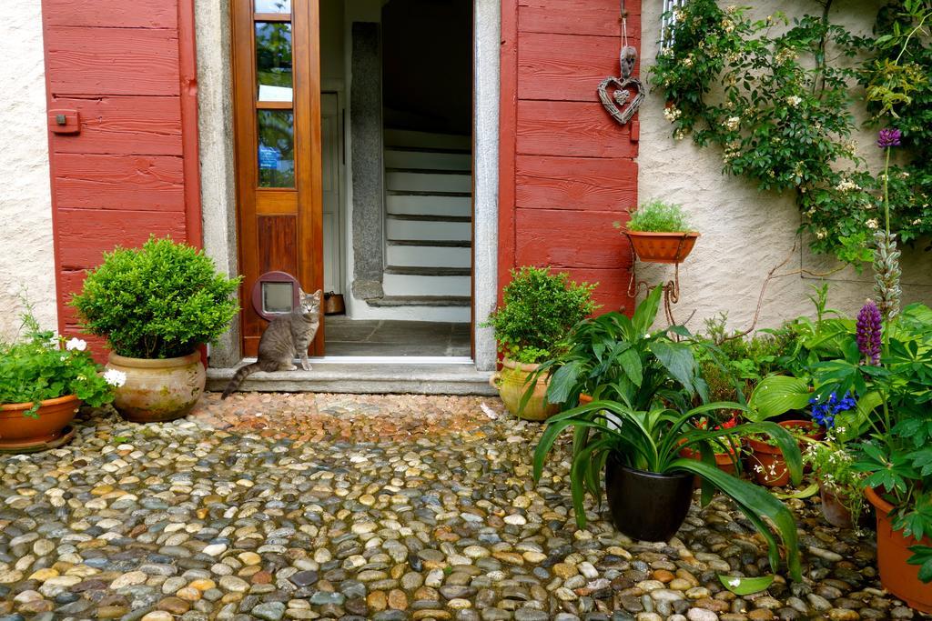 Bed & Breakfast Uvablu Trontano ภายนอก รูปภาพ