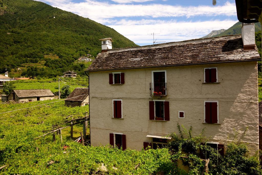 Bed & Breakfast Uvablu Trontano ภายนอก รูปภาพ