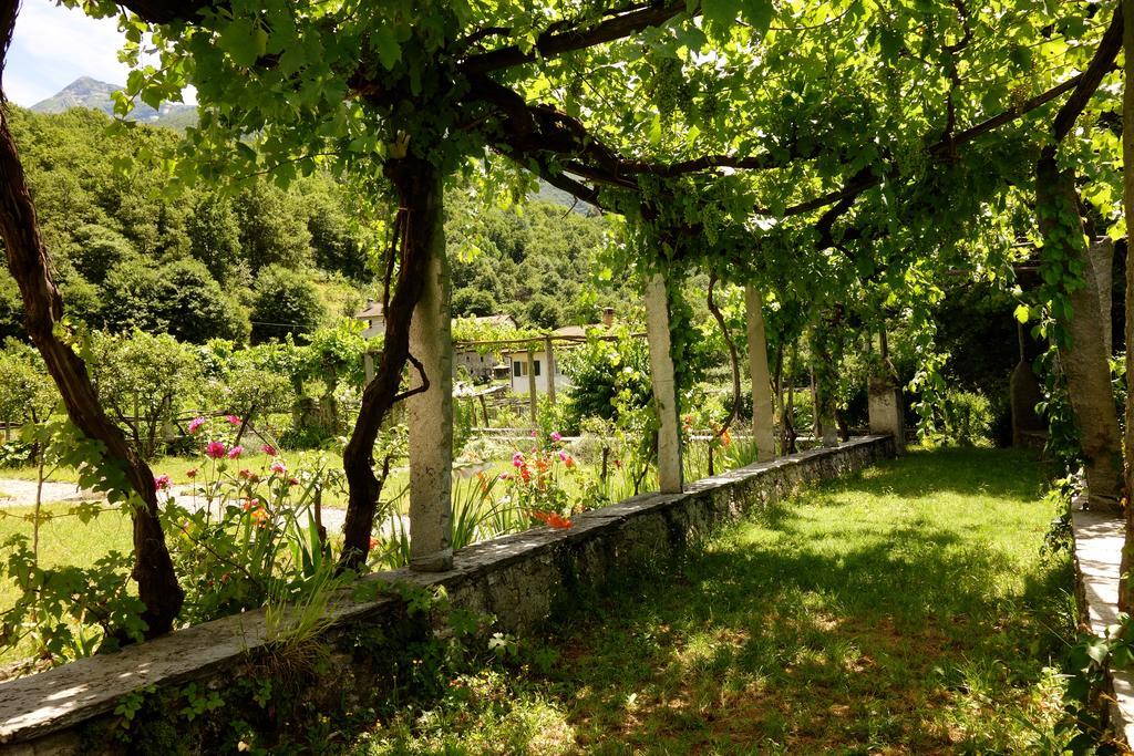 Bed & Breakfast Uvablu Trontano ภายนอก รูปภาพ