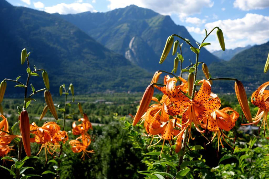Bed & Breakfast Uvablu Trontano ภายนอก รูปภาพ